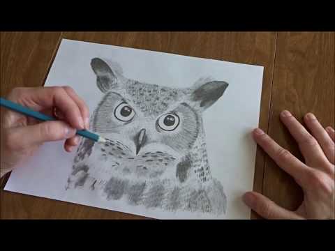 video-linktoworks-How to draw a great horned owl, speed draw