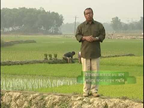 how to fertilize with urea