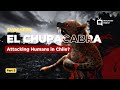 videos de Part 5 El CHupascabra - Animal X Natural Mystery Unit
