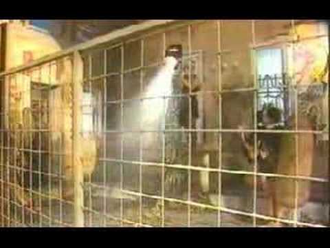 Den Harrow - Catch The Fox