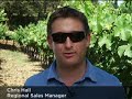 Long Meadow Ranch's Wine