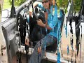 ENDERSON PAPARAZZO