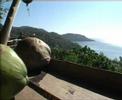 Cocoart-10