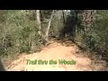 21+ Acres on Peach Creek Road 21+ Acres on Peach Creek Road