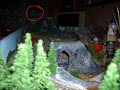 Alien on Photo! Real! Scary eyes! UFO monster!
