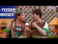 Garden Center Natives - That Mitchell and Webb Look