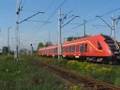 Acatus - ED59-01 Skierniewice-Łódź Fabryczna