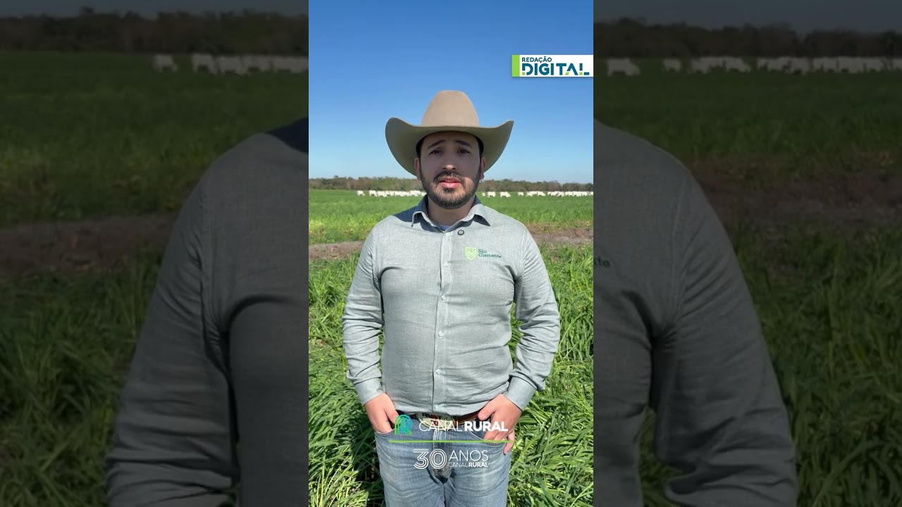 Dia do Pecuarista: quem produz alimento também cultiva o futuro