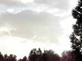 Sun_Shower