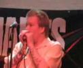 Kingsnakes