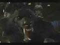 videos de Van Helsing - Possessão/Animal I Have Become