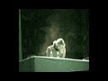 Aphex Twin & Chris Cunningham Live Set Aphex Twin & Chris Cunningham Live Set
