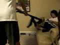 videos de mike n alex fighting.mov