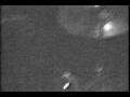 shadow of verbanton hunted as wolves.wmv