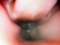 El largo viaje del humo por tus pulmones El largo viaje del humo por tus pulmones