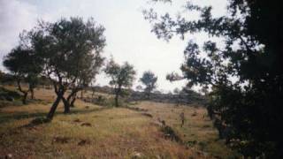 قرى غرب القدس- عين كارم -سطاف-بيت محسير-لفتا-ابوغوش-بتير قطن قرى غرب القدس- عين كارم -سطاف-بيت محسير-لفتا-ابوغوش-بتير قطن