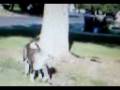 videos de zoe again