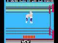 NES WCW Wrestling ( Road Warrior Animal )