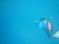 Yannick apnée immersion libre