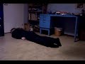 Me on the floor