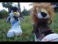 Webinz Racing! PART 1 Shoe racing