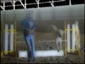 Jumping Dog Remix