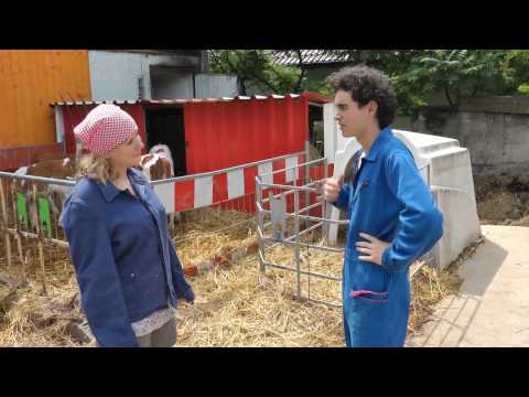 NKG Abi 2010 Bauer sucht Frau Teil 2