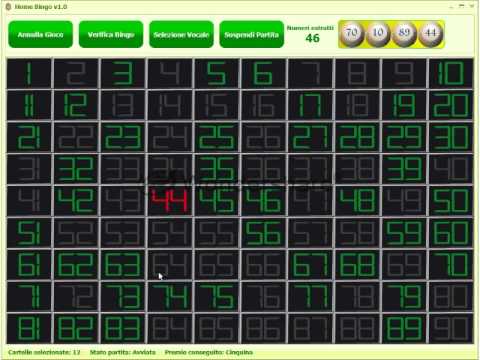 tombola bingo