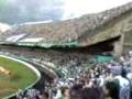 guarani 2 x 1 aguia / em baixo do bandeirão
