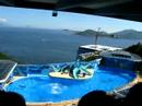 HongKong Ocean park 22