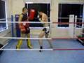 fight training