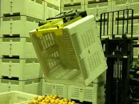 Forklift Mounted Cubic Bin Tippers Video Image