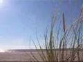 Am Meer (kostenloser Bildschirmschoner)