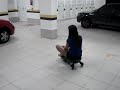 Carrinhos (elas)