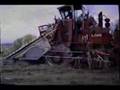 Harvesting Cane in Louisiana