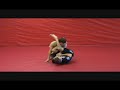 Elvis Armbar Elvis Armbar