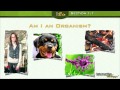 What is Biology - Part 1: Lecture 1.1