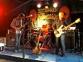 Anekdoten - Slottsskogen Goes Progressive 2008