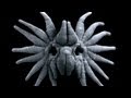 Video: True Facts About The Star Nosed Mole - Zefrank