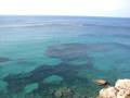 videos de Tauchen (Diving) in Campese, Isola del Giglio, Italy # 4