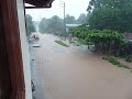 Pucallpa Nov 08 091