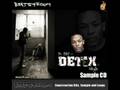 Dr Dre Unofficial Detox Style Hip Hop Beats/Music Sample CD