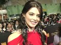 Ashley Greene at The Twilight Saga: New Moon premiere nov200