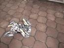 Lego Mindstorms NXT TriTrax-2008