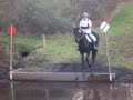 Water schooling 2