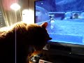 FFXI : Cat Meets Moogle