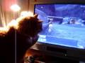 FFXI : Cat Meets Moogle