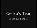 geckos tear   super mario bros live mix