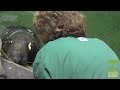 Seal & Koala Eye Exams Seal & Koala Eye Exams