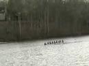 Mt. Vernon Crew Novice Boys at Smokey Jacobs Mt. Vernon Crew Novice Boys at Smokey Jacobs